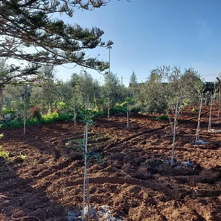 בית חווה L'aira Ecchia - Ospitalita Rurale