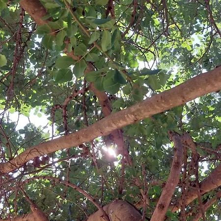 L'aira Ecchia - Ospitalita Rurale