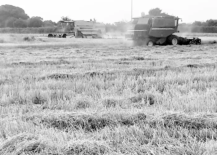 L'aira Ecchia - Ospitalita Rurale Farma *