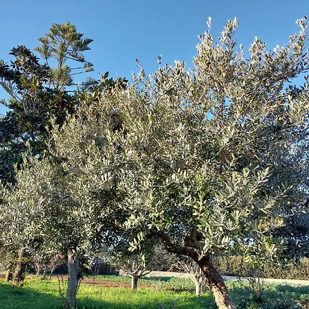 L'aira Ecchia - Ospitalita Rurale Lecce
